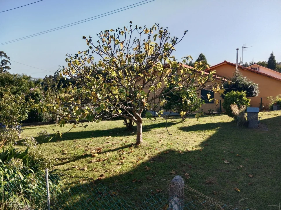 Planta baja en casa unifamiliar