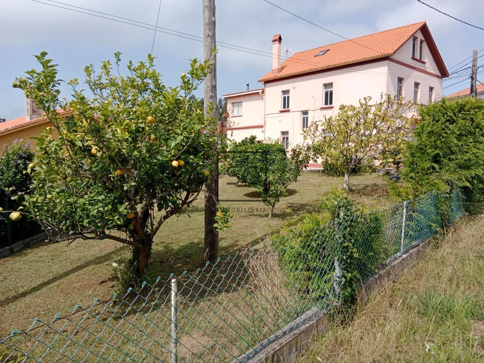 Planta baja en casa unifamiliar