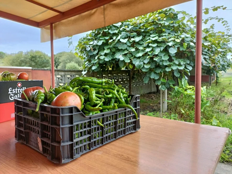 Casa con dos plantas en sedes, narón
