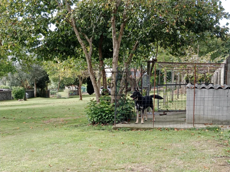 Fin de semana en castro-narón