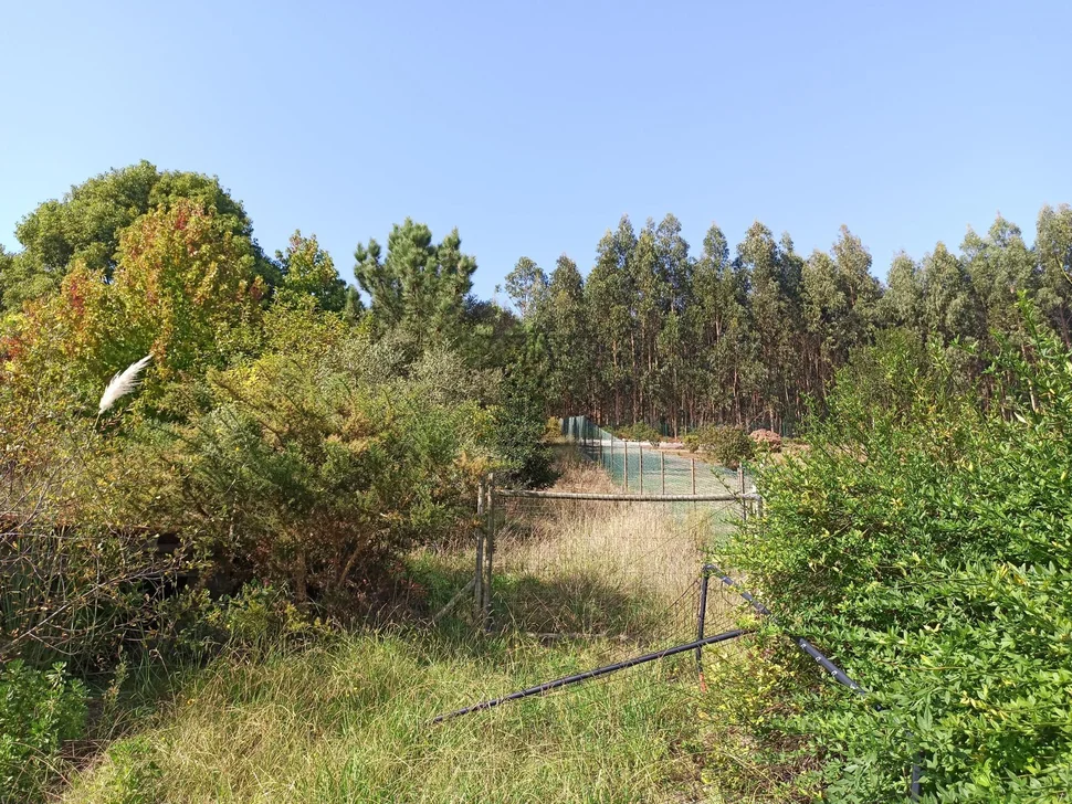Chalet con piscina en valón-ferrol