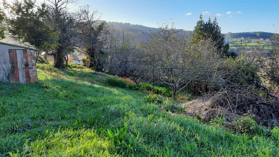 Casa adosada con parcela en pantín