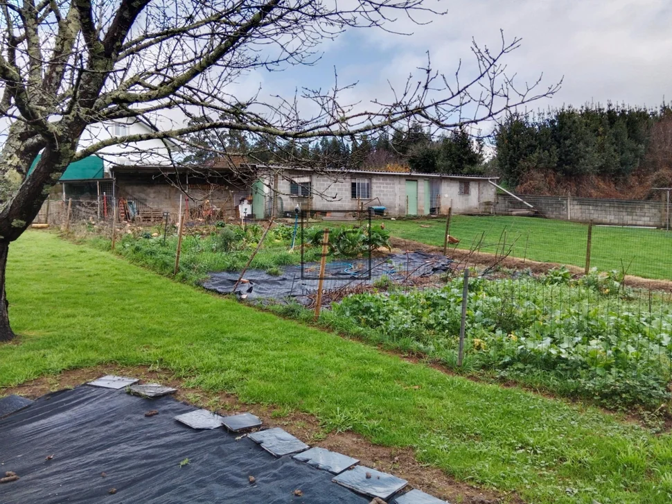Planta baja con bodega en cabañas