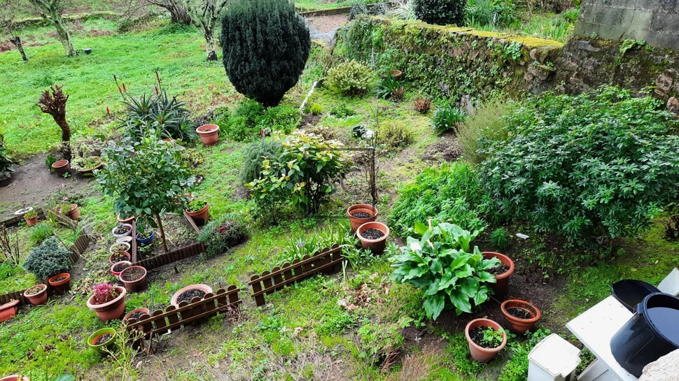 Local comercial con sotano y finca en a graña