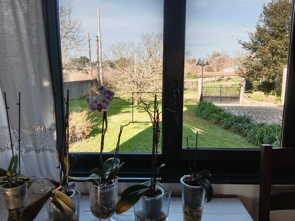 Chalet con finca y bodega en el raso-ares