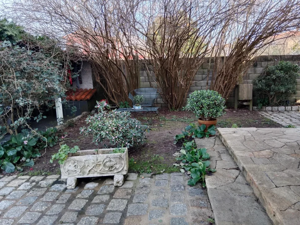 Chalet con finca y bodega en el raso-ares