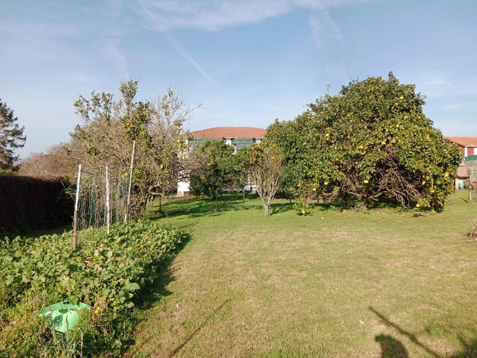 Chalet con finca y bodega en el raso-ares