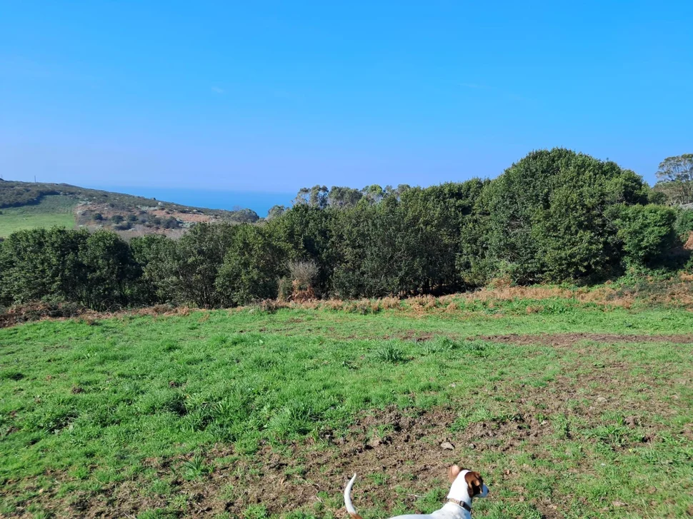 Terreno urbanizable con vistas al mar