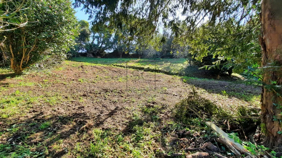 Casa de piedra con edificación auxiliar en cedeira