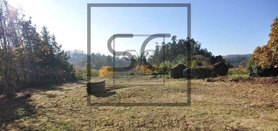 Casa con terreno para restaurar en tapia