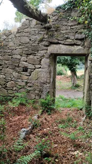 Casa con terreno para restaurar en tapia