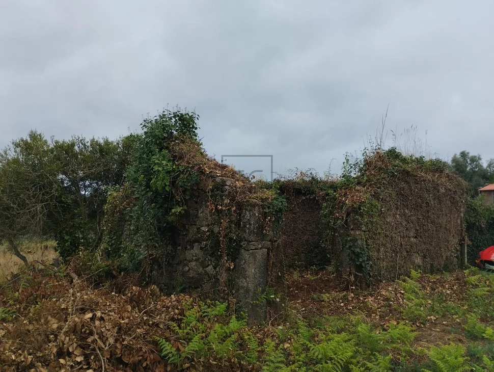 Casa con terreno para restaurar en tapia