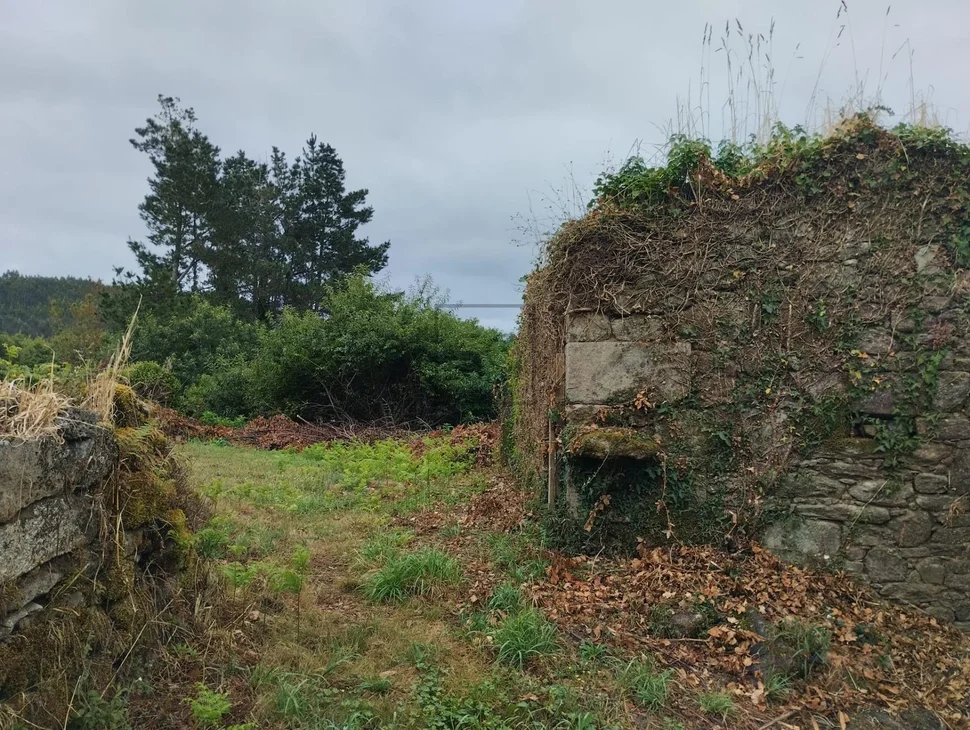 Casa con terreno para restaurar en tapia