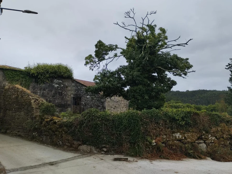 Casa con terreno para restaurar en tapia