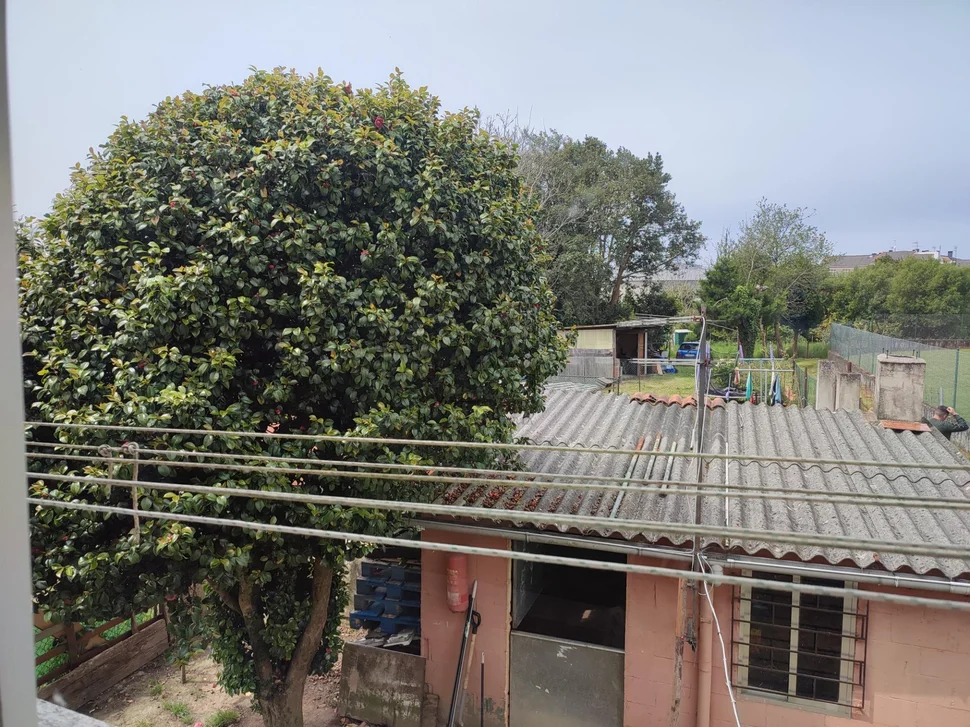 Bonito pareado con patio y finca independiente próxima en el alto del castaño narón