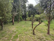 Bonito pareado con patio y finca independiente próxima en el alto del castaño narón