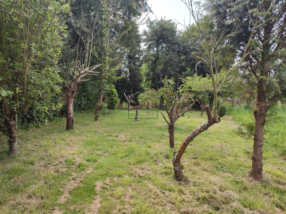 Bonito pareado con patio y finca independiente próxima en el alto del castaño narón