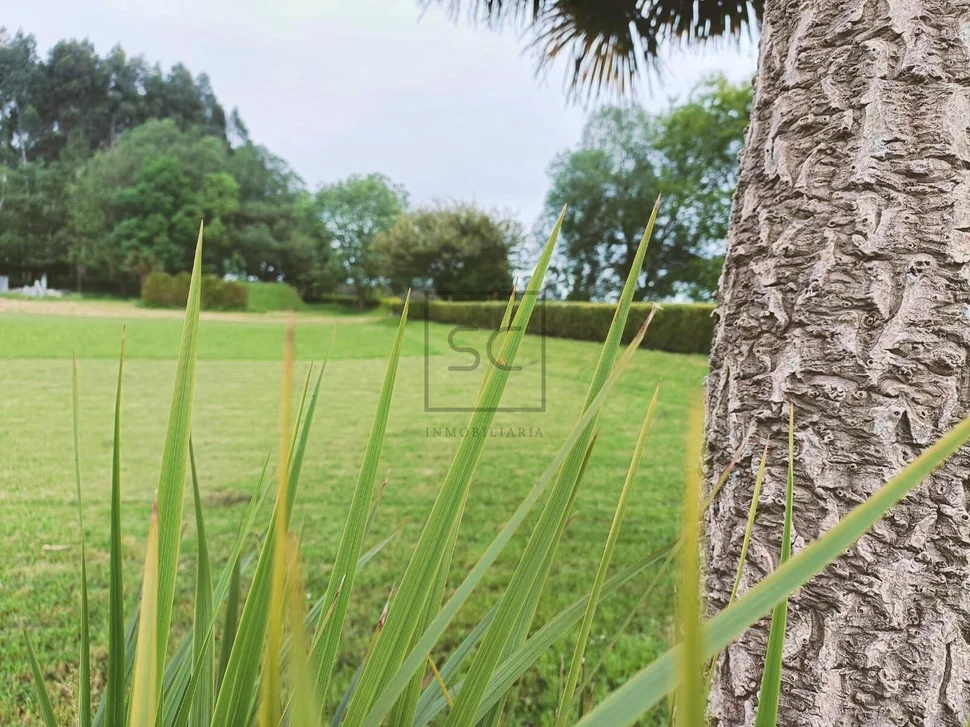 Parcela edificable en lago, valdoviño