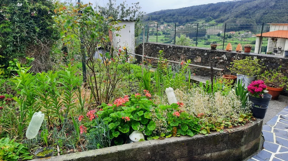 Casa adosada con finca en doniños