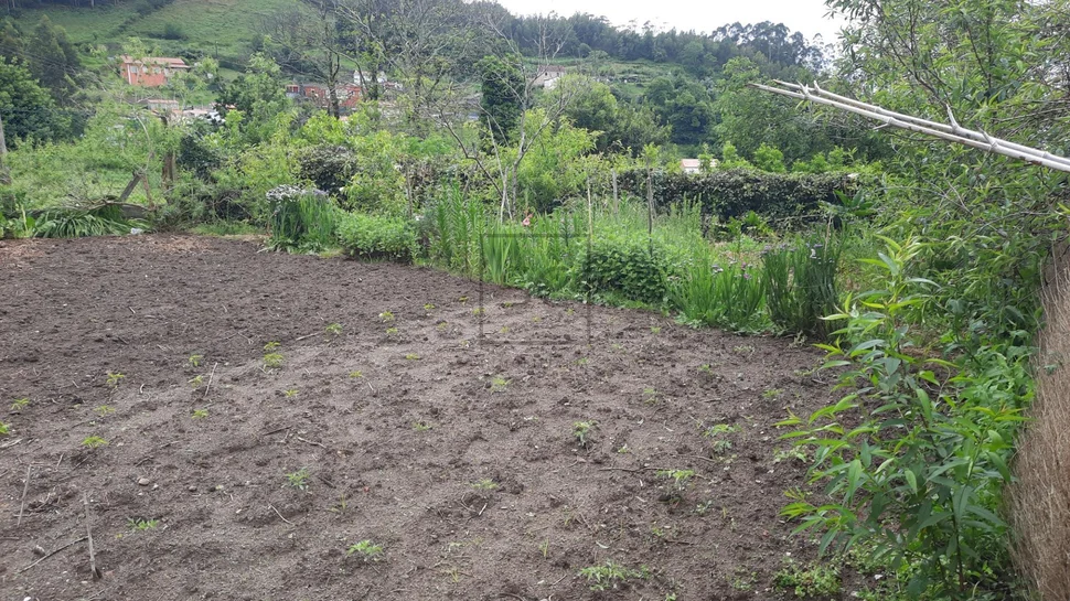 Casa adosada con finca en doniños