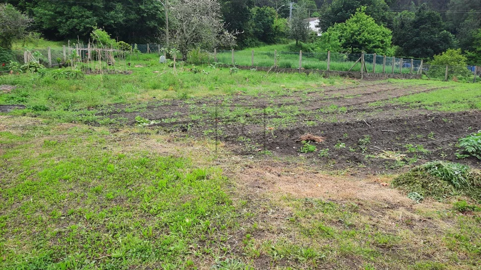 Casa adosada con finca en doniños