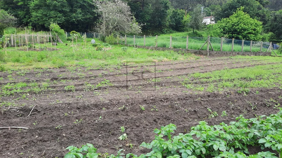 Casa adosada con finca en doniños