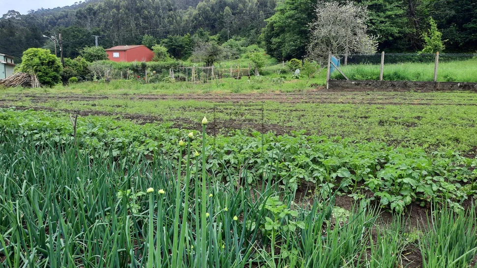 Casa adosada con finca en doniños