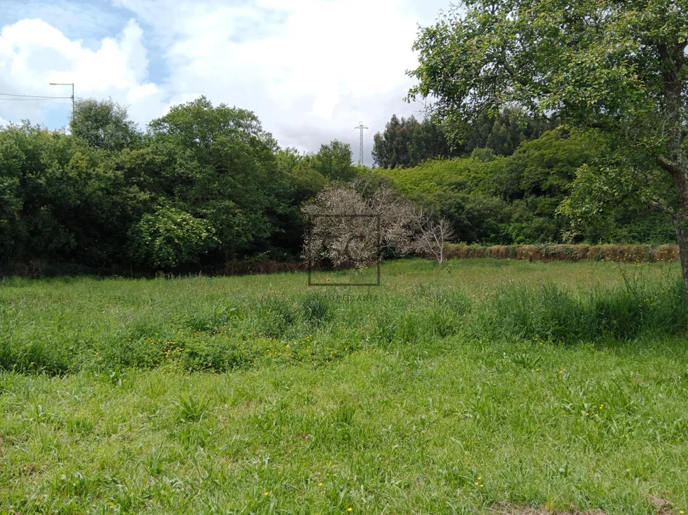 Casa con finca y bodega en meirás-valdoviño