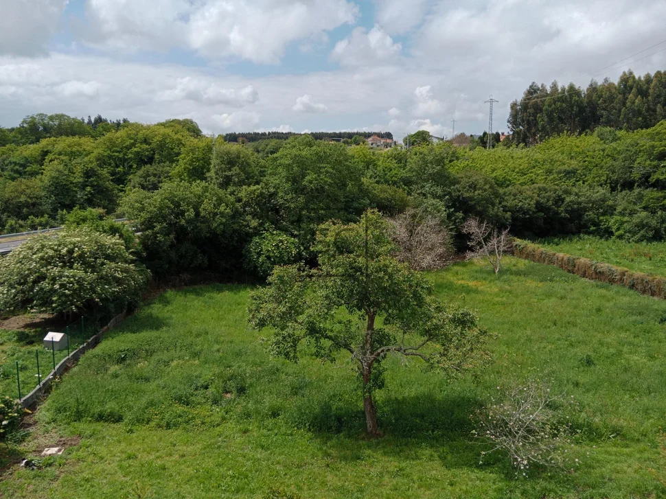 Casa con finca y bodega en meirás-valdoviño