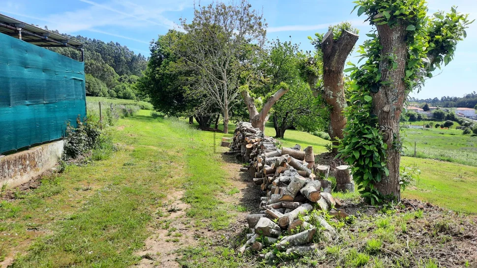 Casa unifamiliar independiente con parcela en valdoviño