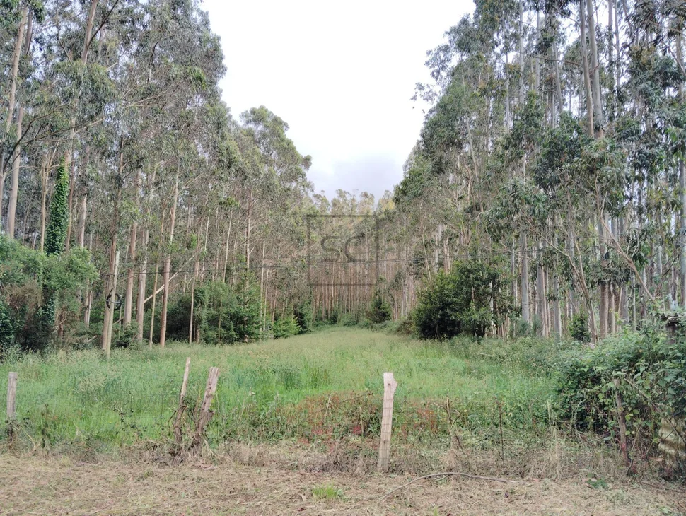 Casa en Cedeira, Campo del Hospital