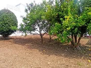 Edificio con finca en san juan, ferrol