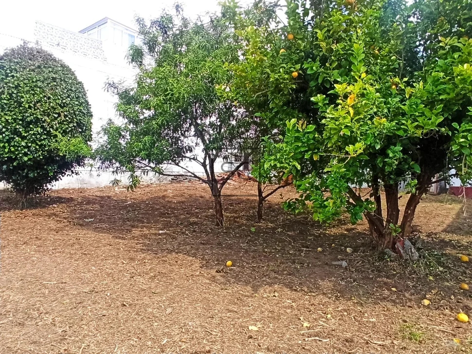 Edificio con finca en san juan, ferrol