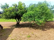 Edificio con finca en san juan, ferrol