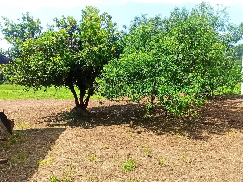 Edificio con finca en san juan, ferrol