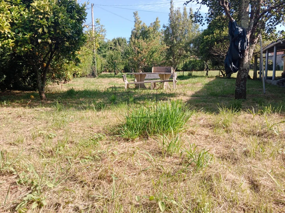 Casa de planta baja con garaje y finca en neda