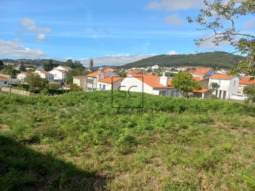 Finca edificable en neda