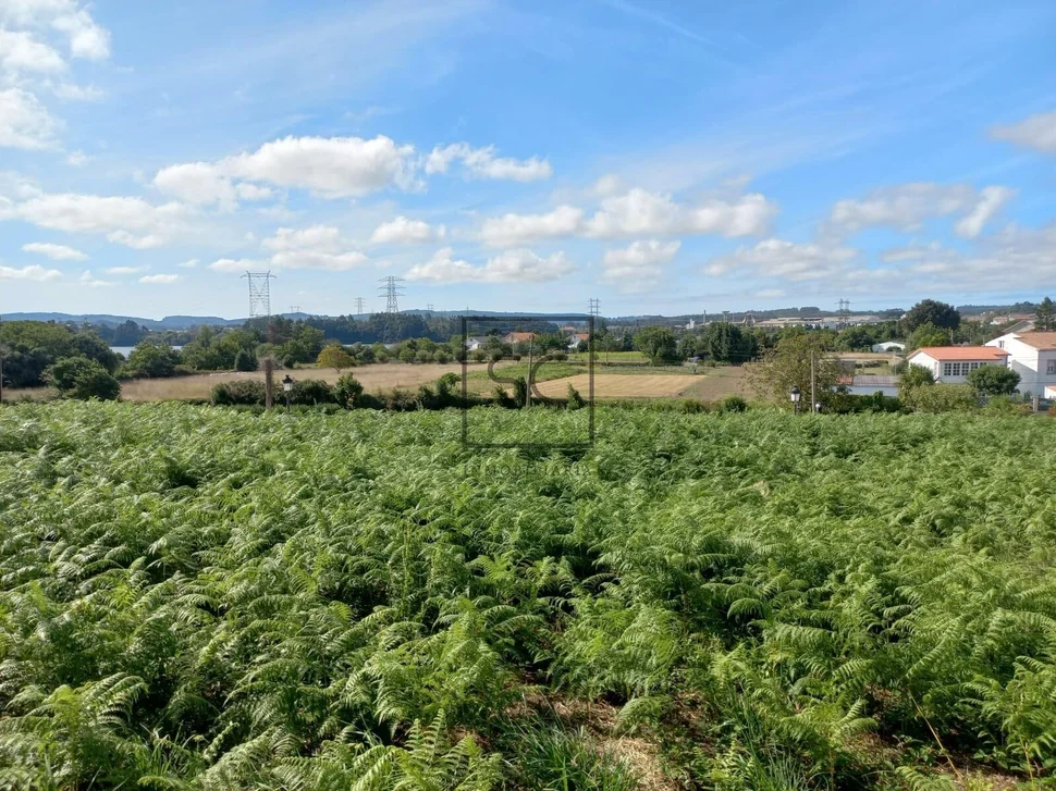 Finca edificable en neda