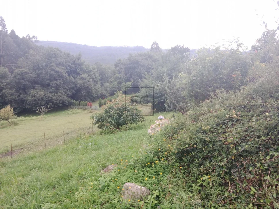 Casa con finca en callobre-miño