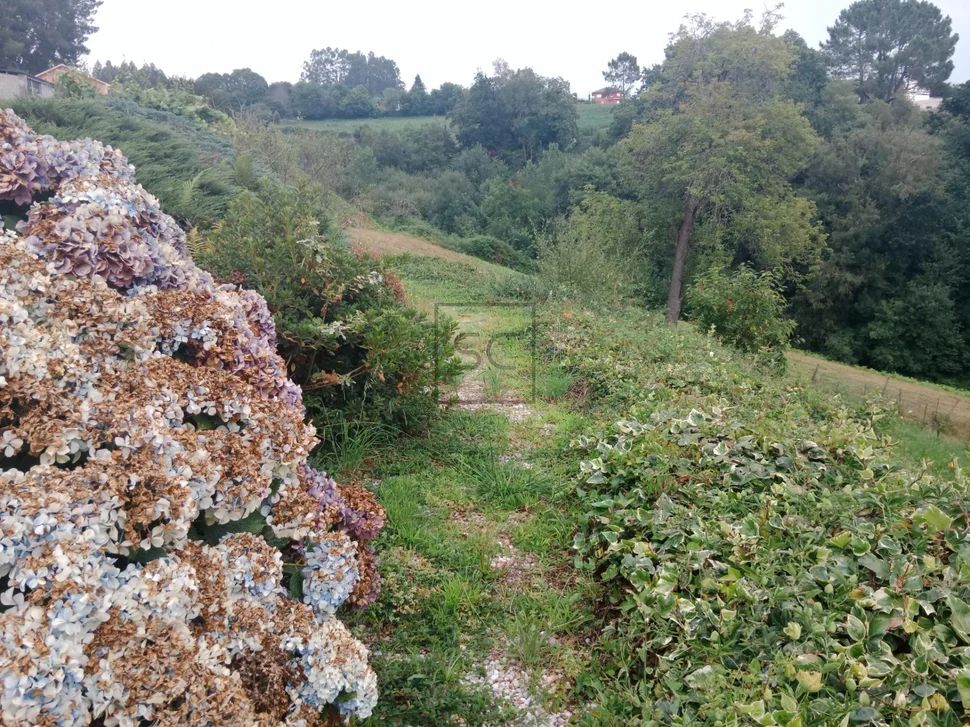 Casa con finca en callobre-miño