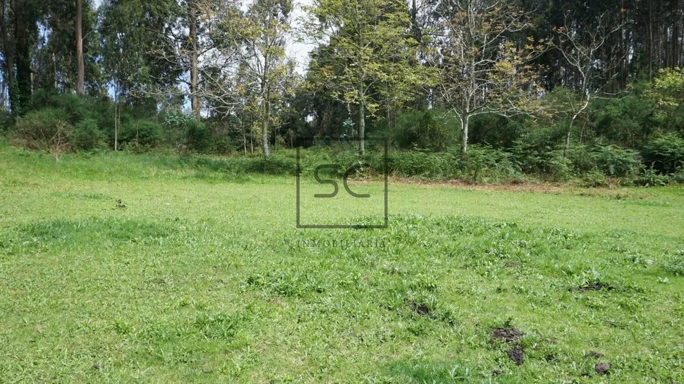 Casa de Piedra para Reforma Integral con Gran Finca