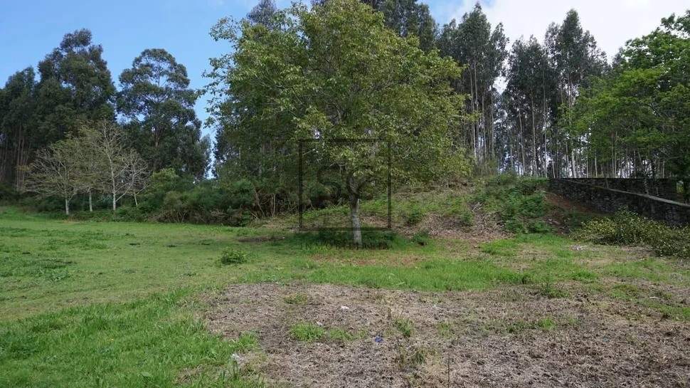 Casa de Piedra para Reforma Integral con Gran Finca