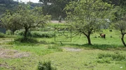 Casa de Piedra para Reforma Integral con Gran Finca