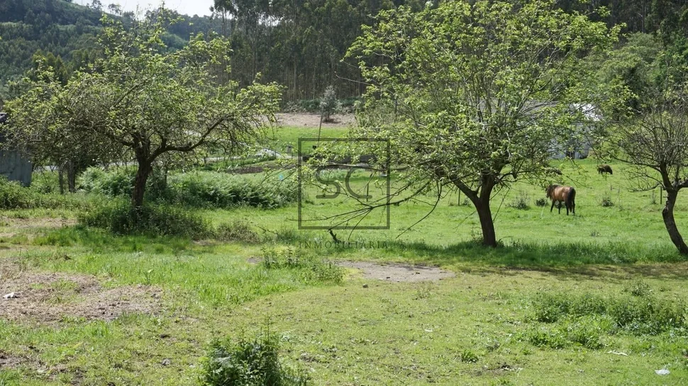 Casa de Piedra para Reforma Integral con Gran Finca