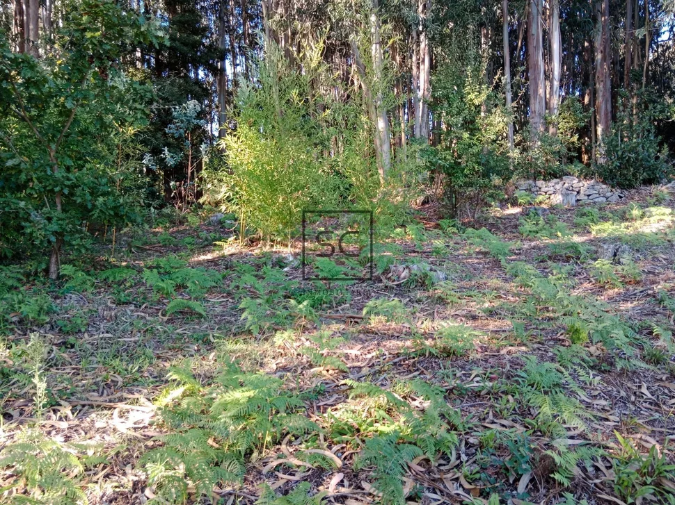 Casa para restaurar en a malata-ferrol