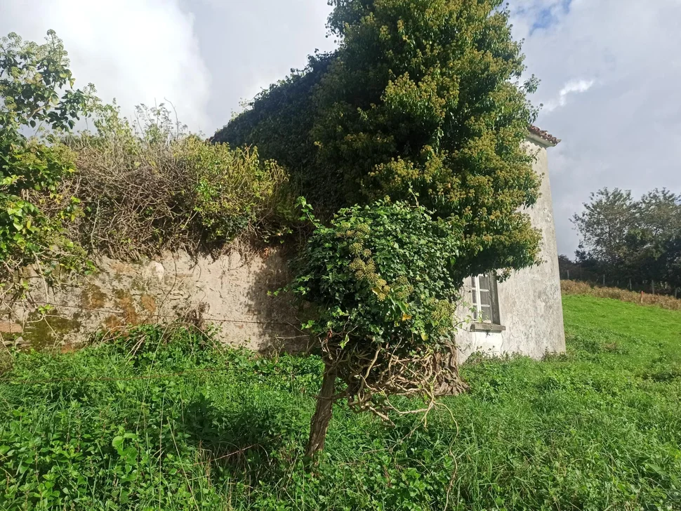 Casa con vistas al mar en cedeira