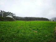 Casa con finca y garaje en cerdido