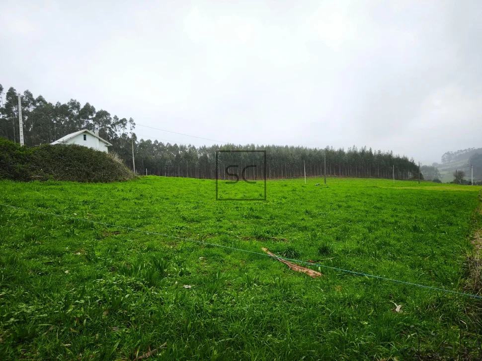 Casa con finca y garaje en cerdido