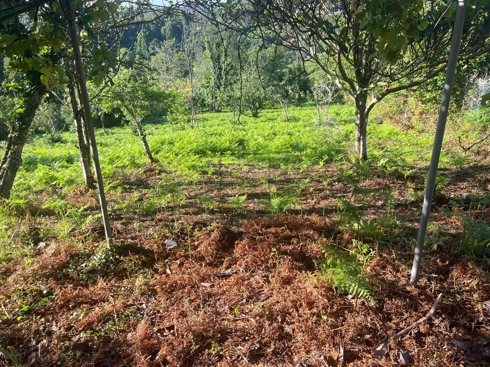 Fin de semana para reforma en esmelle