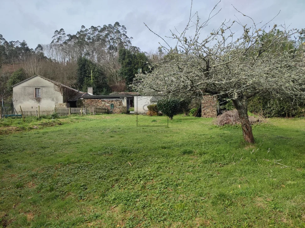 Bonito adosado en moeche